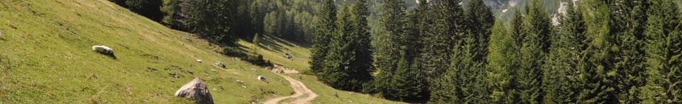 Pot: Uskovnica-Planina Konjščica