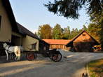 Brdo Estate - Equestrian Tourism Centre - Brdo pri Kranju - Konjeniško turistični center
