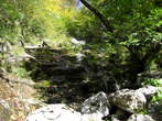Source of the Bistrica brook