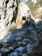 Dovzan Gorge - View of Small tunnel from south side 