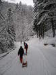 Koca na Ljubelju Mountain Hut - Group of people with sledges Koca na Ljubelju Mountain Hut - Group of people with sledges