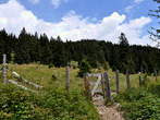 Höhenweg: Konzentrationslager - Planina Korosica Alm - Pot: Koncentracijsko taborišče-Planina Korošica (Lovska pot)