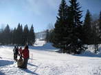 Soriska planina - Ski slope