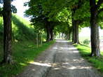 Novo mesto - Kette promenade - Kette's walk protected as a monument of shaped nature  