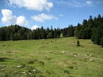 Menina planina - Menina planina Menina planina - Menina planina