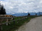 Menina planina - Menina planina Menina planina - Menina planina