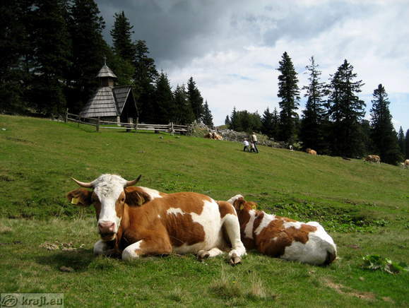 Chappel near Dom na Menini planini Mountain Hut