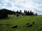 Korosko - savinjska Region - Menina Planina - Dom na Menini planini Mountain Hut Korosko - savinjska Region - Menina Planina - Dom na Menini planini Mountain Hut
