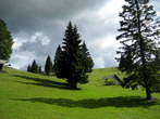 Menina planina - Menina planina Menina planina - Menina planina