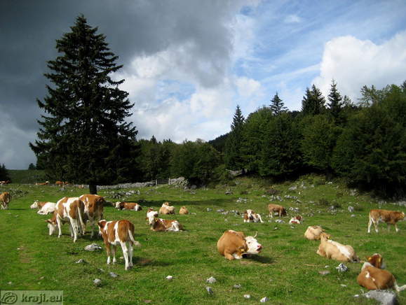 Menina planina (The Menina Plateau)