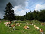 Menina planina - Menina planina Menina planina - Menina planina