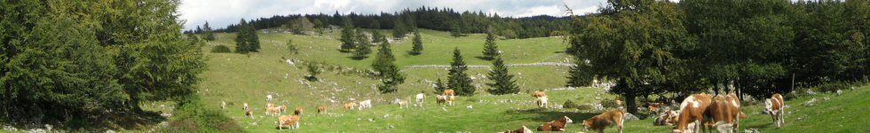Menina Planina