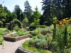 Mozirski gaj - Herb Garden - Mozirski gaj - Zeliščni vrt