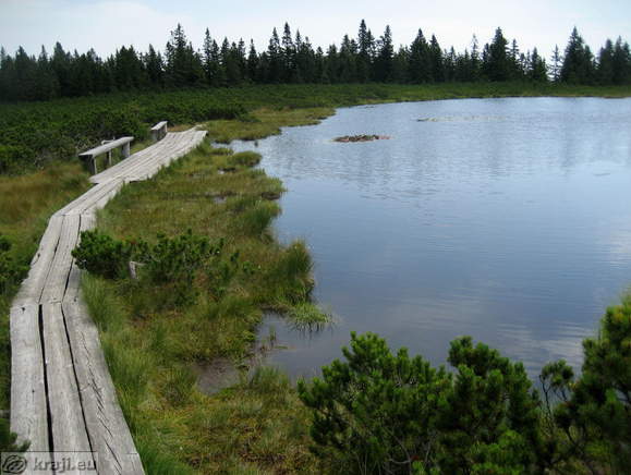 Lake Ribnica and benches for rest Lake Ribnica and benches for rest