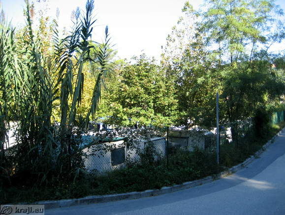 Kamp Fiesa
