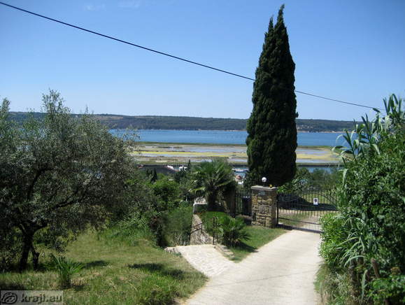 Pot proti Krajinskemu parku Sečoveljske soline in Vrtu kaktusov s Forma Vive Pot proti Krajinskemu parku Sečoveljske soline in Vrtu kaktusov s Forma Vive