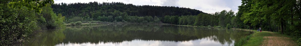 Ponds in the Valley of Draga - Rakovnik