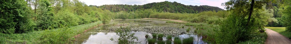 Teiche im Tal Draga - Mittel Teich