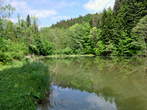 Ponds in the Valley of Draga - Last Pond - Zadnji ribnik