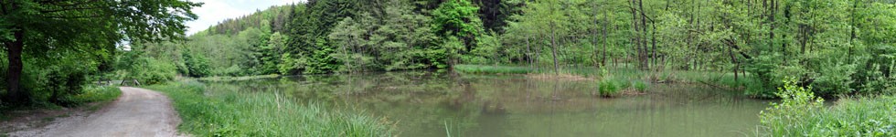 Ponds in the Valley of Draga - Last Pond