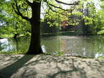 Arboretum Volčji Potok - Jezero Otočec v Arboretumu 