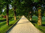 Arboretum Volčji Potok - Promenada 