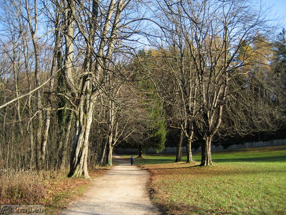 Bleder See - Südseite