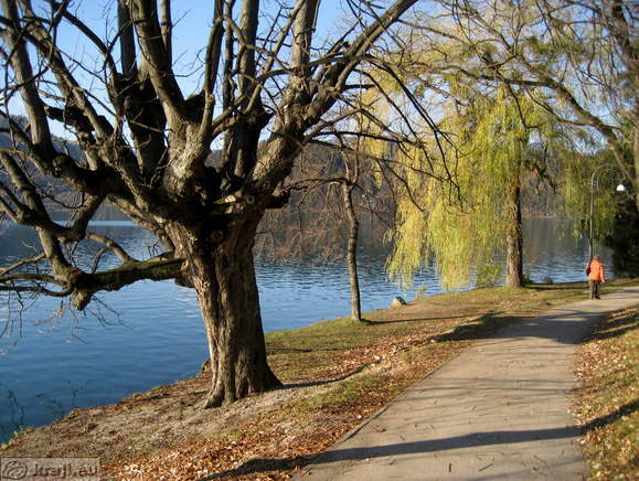 Bleder See - Südseite