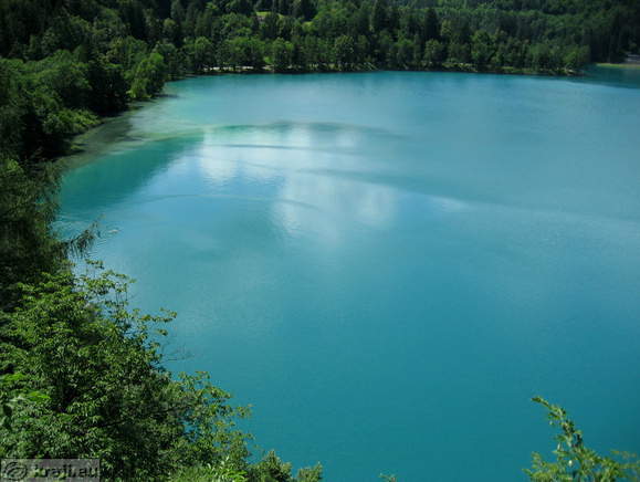 Blejsko jezero