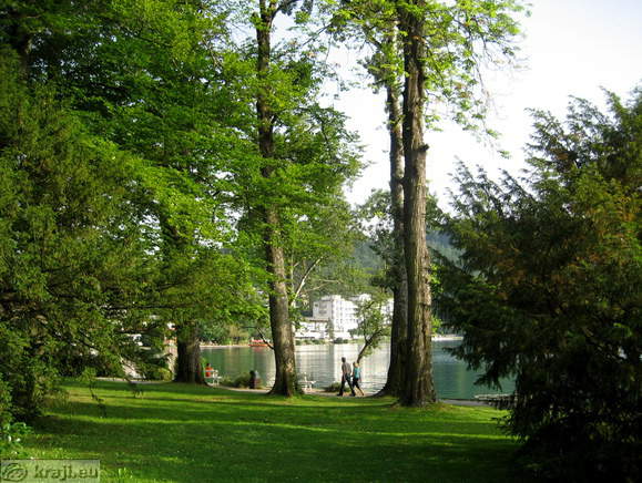 Pogled na Blejsko jezero skozi manjši park