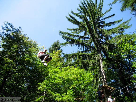 Wanna fly as a bird?