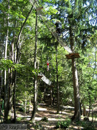 Most exacting exercises in Adventure Park Bled