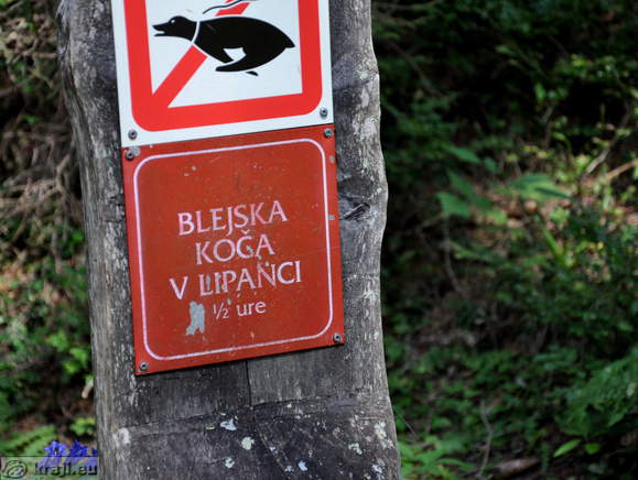 Blejska koča na Lipanci (0.5 h)