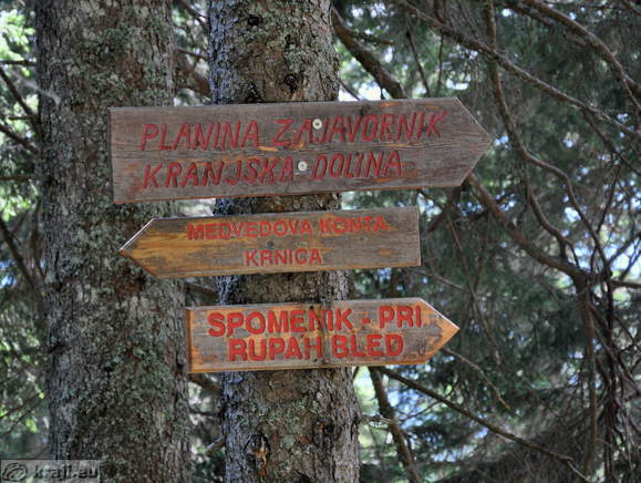 Razpotje - Planina Zajavornik, Kranjska dolina ...