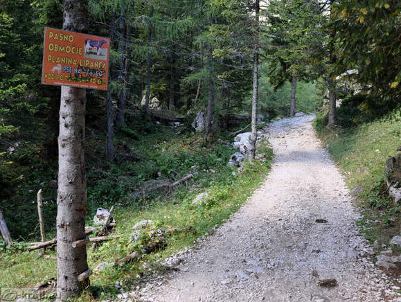 Pašno območje planina Lipanca
