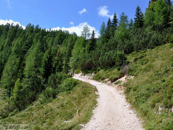 Pot proti Blejski koči