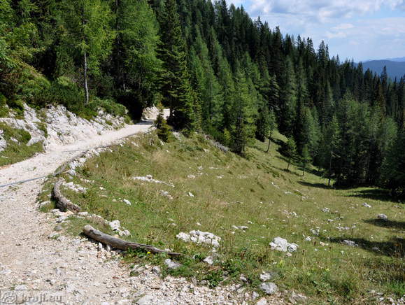 Zadnji del poti do Blejske koče na Lipanci