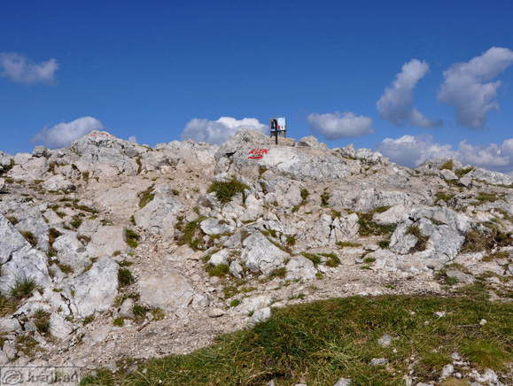 Debela pec
