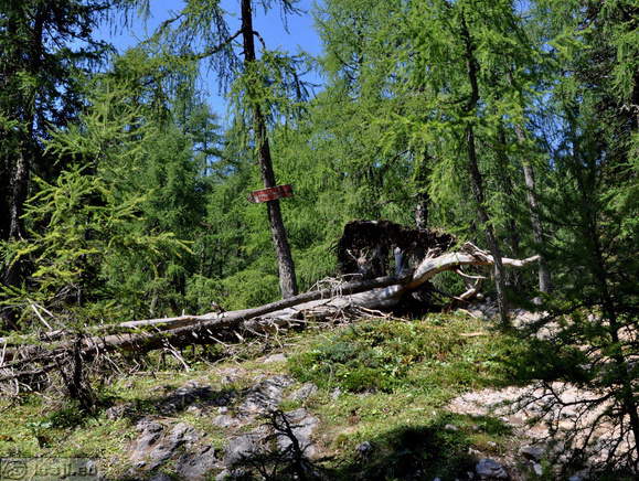 Walking Trail: Blejska koca na Lipanci Mountain Hut - Debela pec