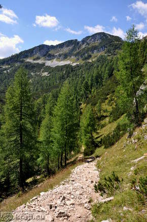 Walking Trail: Blejska koca na Lipanci Mountain Hut - Debela pec