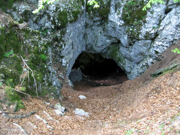 Pokljuka Schlucht