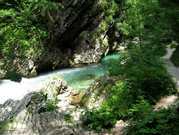 Vintgar Klamm