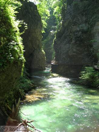 Vintgar Klamm