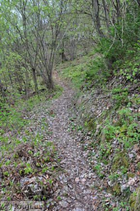 Poglejska cerkve - Poljšiška cerkve