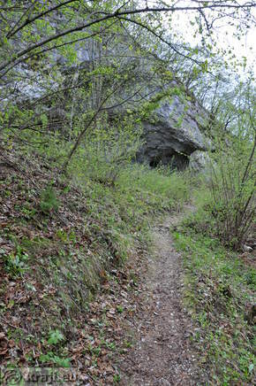 Poglejska cerkve - Poljšiška cerkve