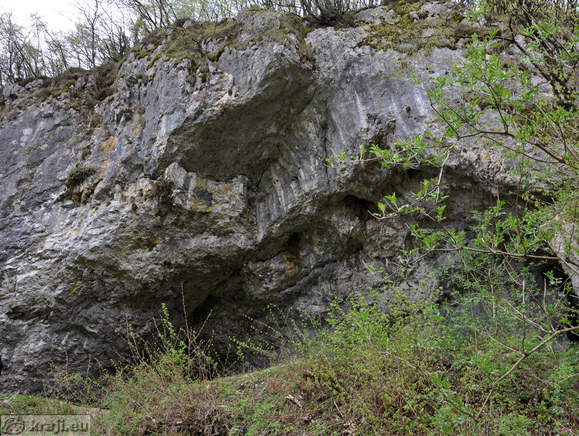 Poglejska cerkve - Poljšiška cerkve