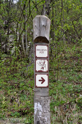 Poglejska cerkve - Poljšiška cerkve