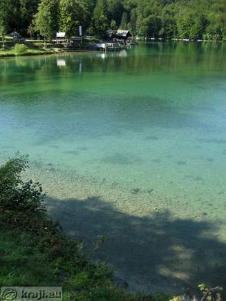 Pogled na Bohinjsko jezero