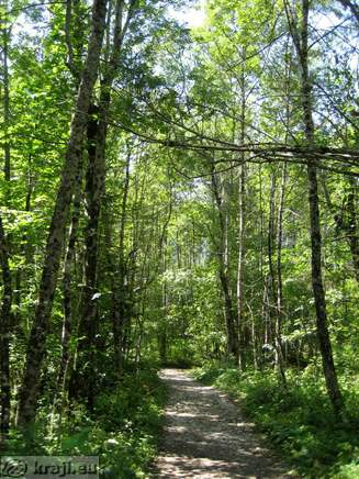 Wocheiner See - Ukanc