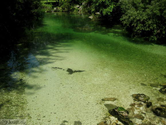 Ukanc - Savica Gebirgsbach